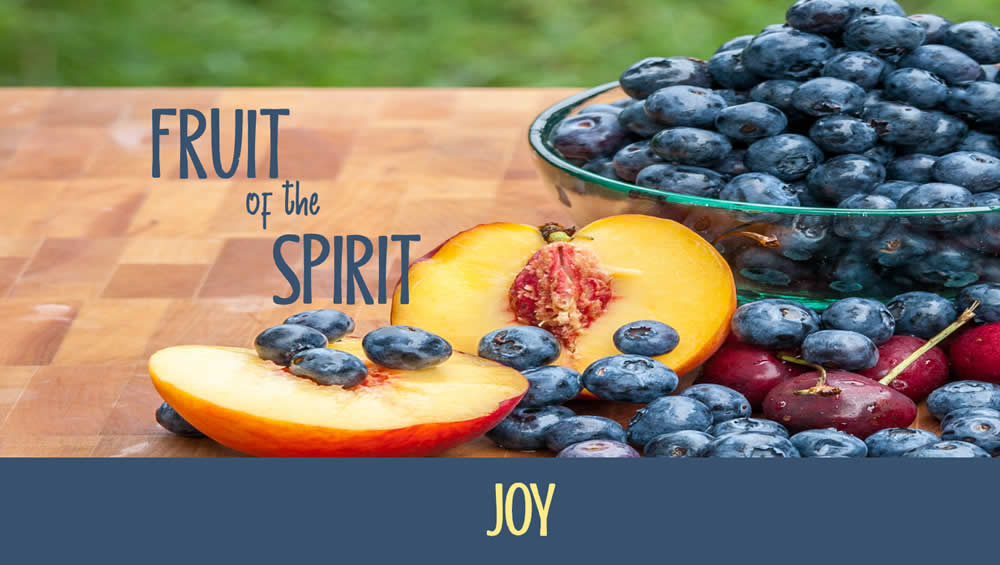 Fruit Of The Spirit | Joy Image