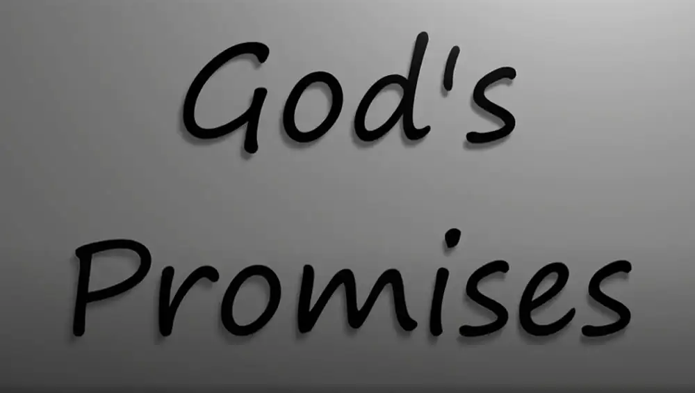 Devoted Things | God's Promises Image