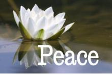 Peace Image