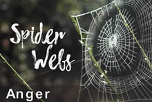 Spider Webs - Anger Image
