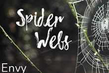 Spider Webs - Envy Image