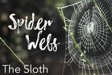 Spider Webs - Sloth Image